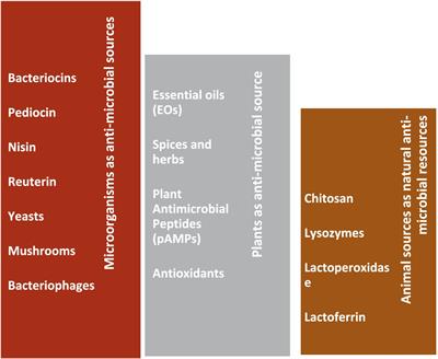 Exploring the untapped potential of naturally occurring antimicrobial compounds: novel advancements in food preservation for enhanced safety and sustainability